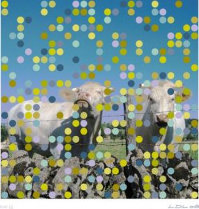 Art_numerique de Laurent DUBOIS-LOYA: Les deux vaches, base 25