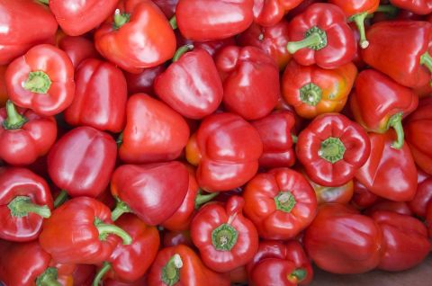 Poivrons.....oui mais Irlandais - Photo - Gregory Jamsin Poivrons.....oui mais Irlandais - Photo - Gregory Jamsin