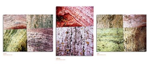 Spiritualités - Peinture - Gephi Spiritualités - Peinture - Gephi