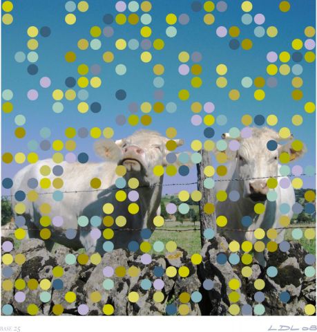 Les deux vaches, base 25 - Art numerique - Laurent DUBOIS-LOYA