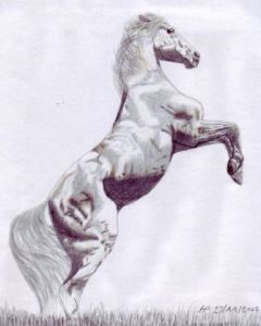 Voir cette oeuvre de Chtipat: Cheval blanc