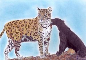 Voir cette oeuvre de Chtipat: Deux léopards