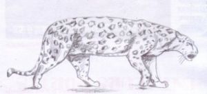 Voir cette oeuvre de Chtipat: Leopard en chasse !