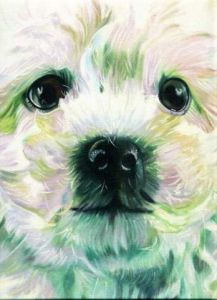 Artiste Ulysses Teixeira