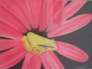 Voir cette oeuvre de Amelie: The pink lady frog