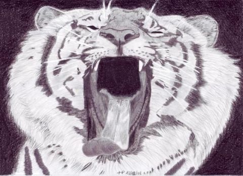 L'artiste Chtipat - Tigre rugissant !