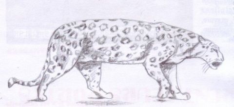 L'artiste Chtipat - Leopard en chasse !