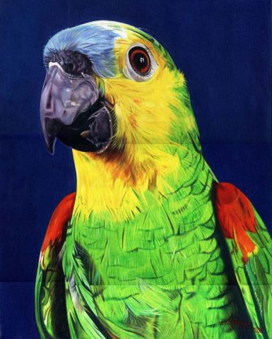 L'artiste Ulysses Teixeira - Little Parrot