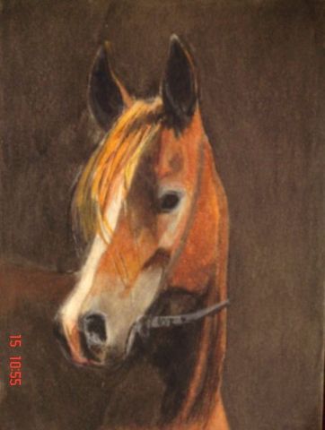 L'artiste palmyre vanparis - cheval arabe