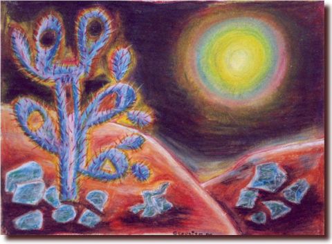 L'artiste claudito - nuit dans le desert