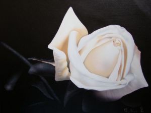 Peinture de Claudine Friant: Rose blanche