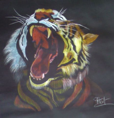 Tigre - Crayons sur papier - Peinture - Claudine Friant