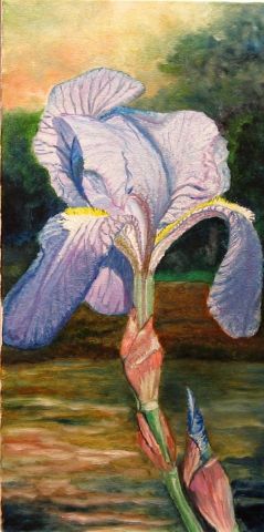 Iris - Peinture - yvon latreille