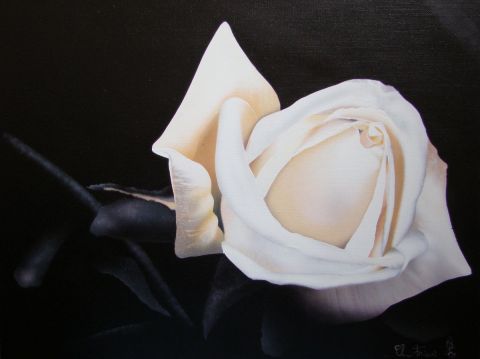 Rose blanche - Peinture - Claudine Friant Rose blanche - Peinture - Claudine Friant