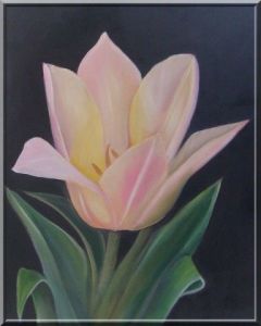 Voir cette oeuvre de bchira arfaoui: tulipe