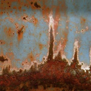 Artiste nicole lechaczynski