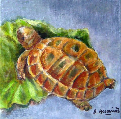 Pénelope la tortue - Peinture - Suzanne ACCARIES