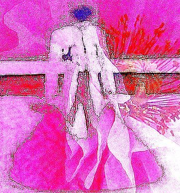L'artiste Pasi - matador-pavot rose