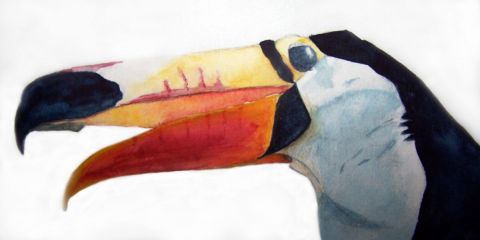 Toucan paraguayen - Peinture - Pablo