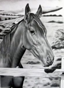 Artiste SEVERINE NOIROT