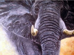Voir cette oeuvre de alain Gaudin: elephant