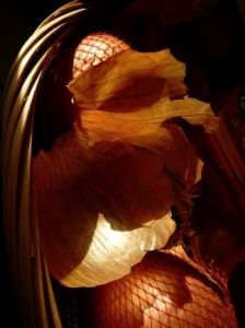 Photo de DANIEL FAGES: Gouaille orange à visage découpé