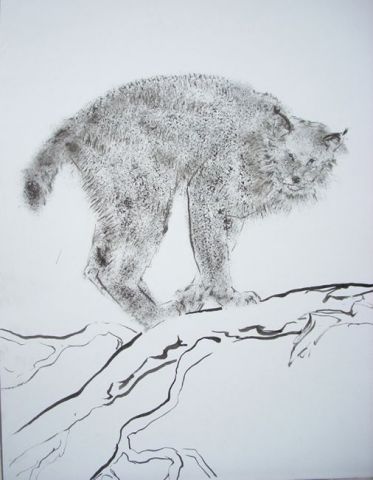 L'artiste Victoria - Le lynx