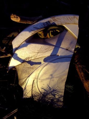 L'artiste DANIEL FAGES - Eclat persistant d\'un vif crépuscule