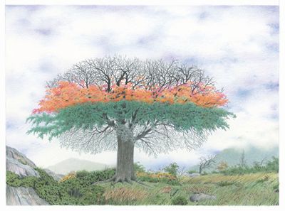 L'artiste Wilfrid Barbier - L'arbre aux quatre saisons
