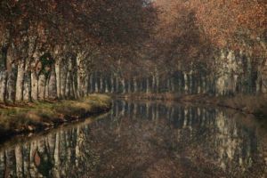 Voir cette oeuvre de Didier LORENTZ: Canal en hiver