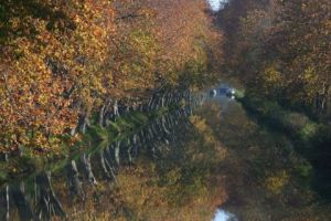 Voir cette oeuvre de Didier LORENTZ: Variation du Canal