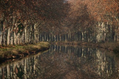 L'artiste Didier LORENTZ - Canal en hiver