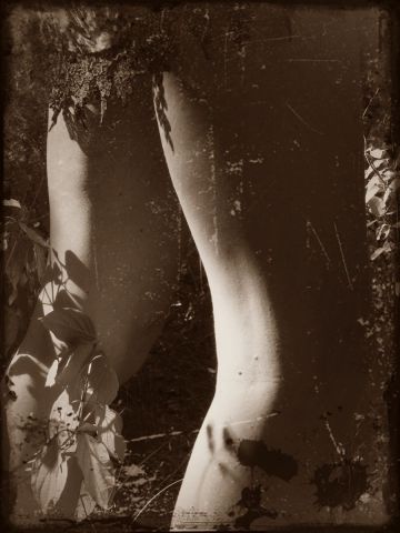 Les jambes - Photo - Loalx