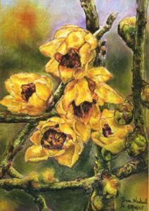 Voir le détail de cette oeuvre: fleur de Chimanthus