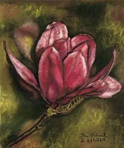 Voir cette oeuvre de domnanteuil: fleur de magnolia