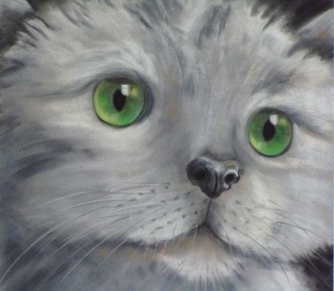 L'artiste BETTY-M peintre - chaton gris