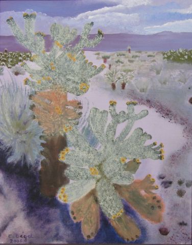 L'artiste Catherine BEGOT - Desert