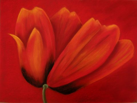 L'artiste BETTY-M peintre - tulipe sur rouge