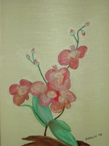 L'artiste drallih - orchidée