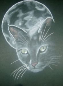 Dessin de elisabeth rouzaire: un chat dans la lune