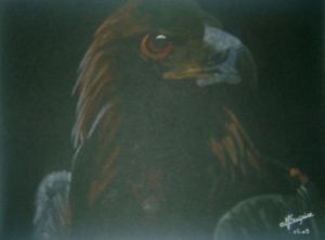 Voir cette oeuvre de elisabeth rouzaire: l'aigle noir