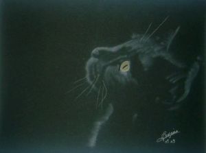 Dessin de elisabeth rouzaire: le chat noir