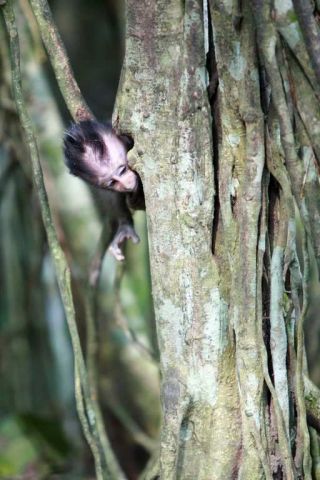 Murs Murs du Monde 120 - Photo - Hugues Murs Murs du Monde 120 - Photo - Hugues