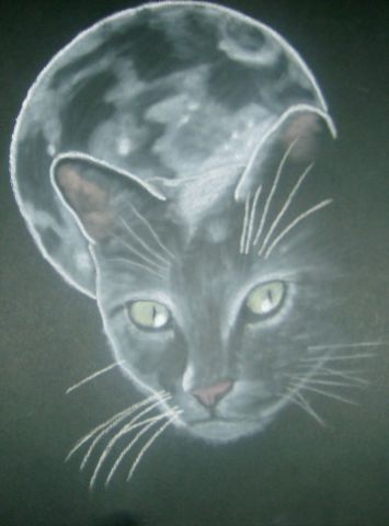 L'artiste elisabeth rouzaire - un chat dans la lune