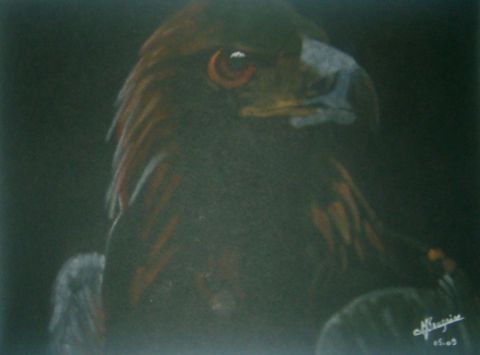 L'artiste elisabeth rouzaire - l'aigle noir