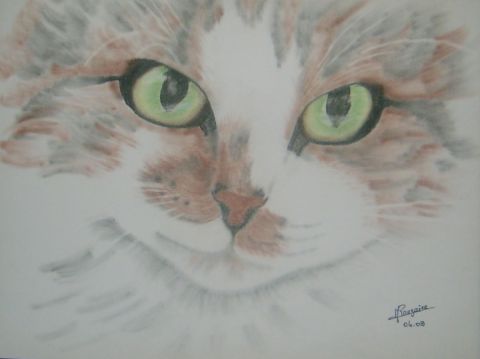 L'artiste elisabeth rouzaire - les yeux du chat