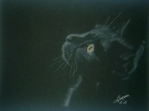 le chat noir - Dessin - elisabeth rouzaire