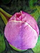 Voir le détail de cette oeuvre: Tulip Close Up