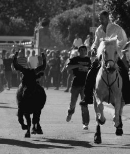 Artiste laurence valency