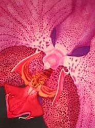 L'artiste Lux - Purple Orchid
